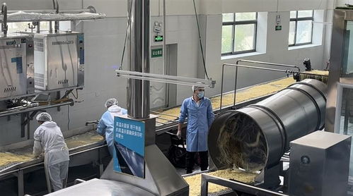 從甜茶館商標(biāo)注冊(cè)看拉薩服務(wù)創(chuàng)新與監(jiān)管協(xié)同